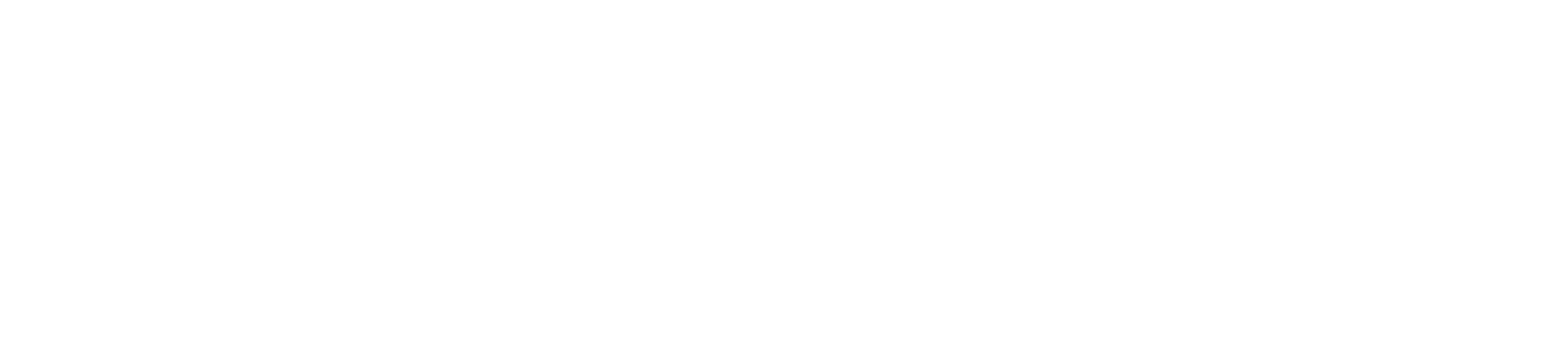 Sriwijaya Air